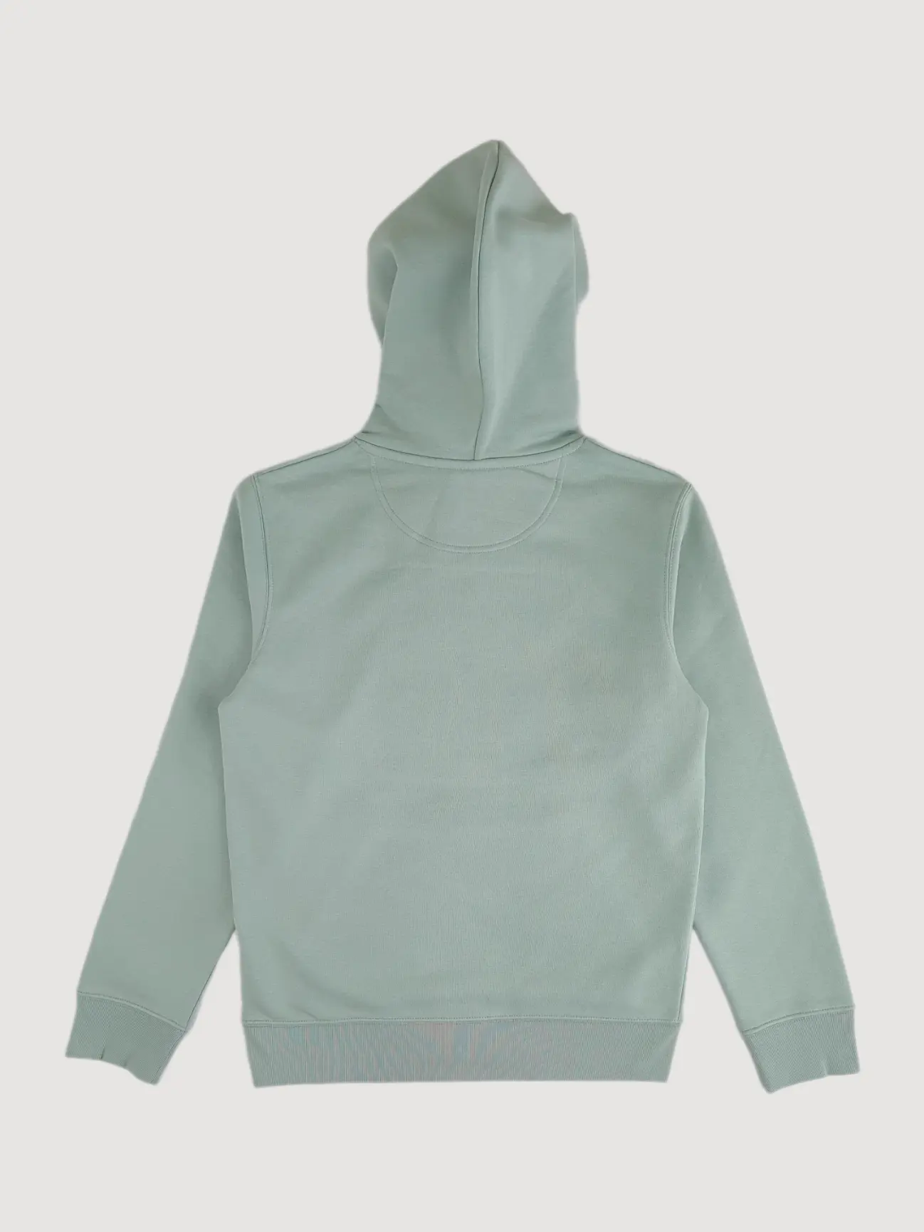 Aloe Hoodie Back View